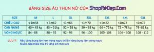 Áo Thun Nữ Dài Tay Cổ Tròn V Vải Cotton Co Dãn 4 Chiều - Mã Pl010003